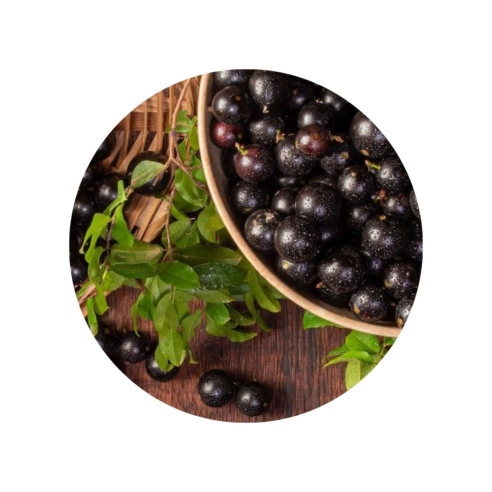 Jabuticaba