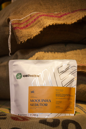 Moquinha Sedutor