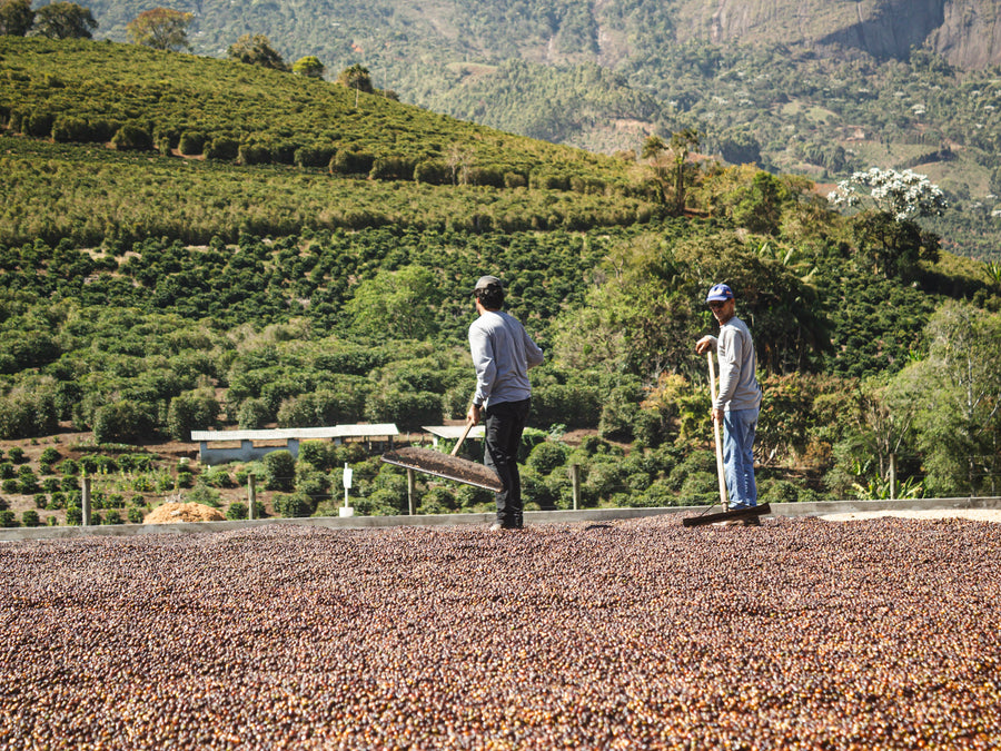 A fazenda