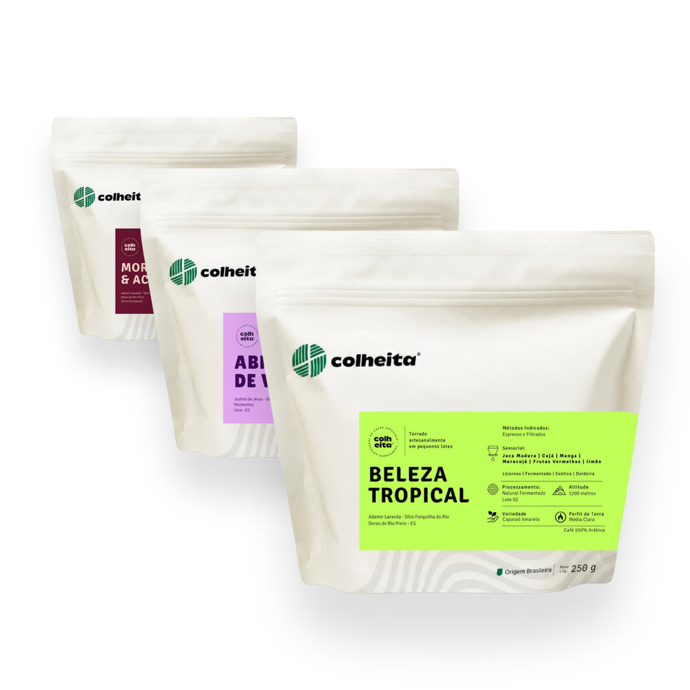 [Kit Degustação] Mix de Frutas