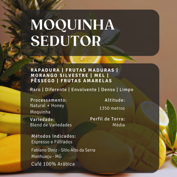 Moquinha Sedutor