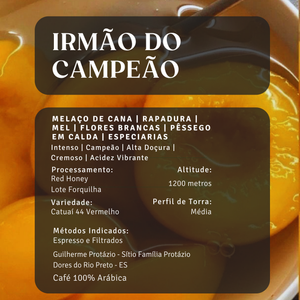 Irmão do Campeão