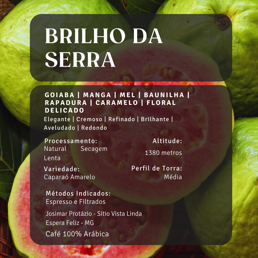 Brilho da Serra