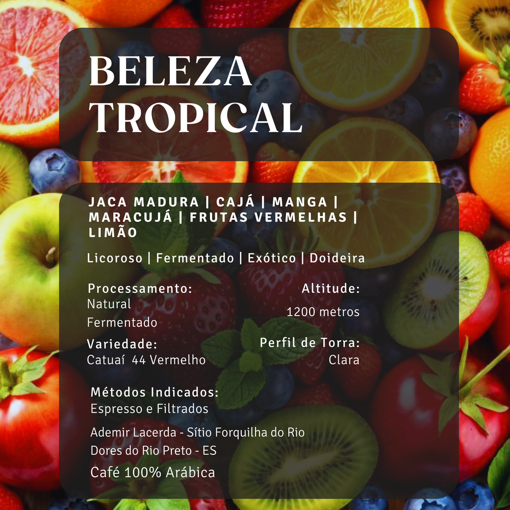 Beleza Tropical