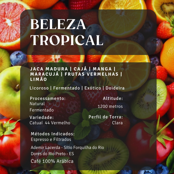 Beleza Tropical
