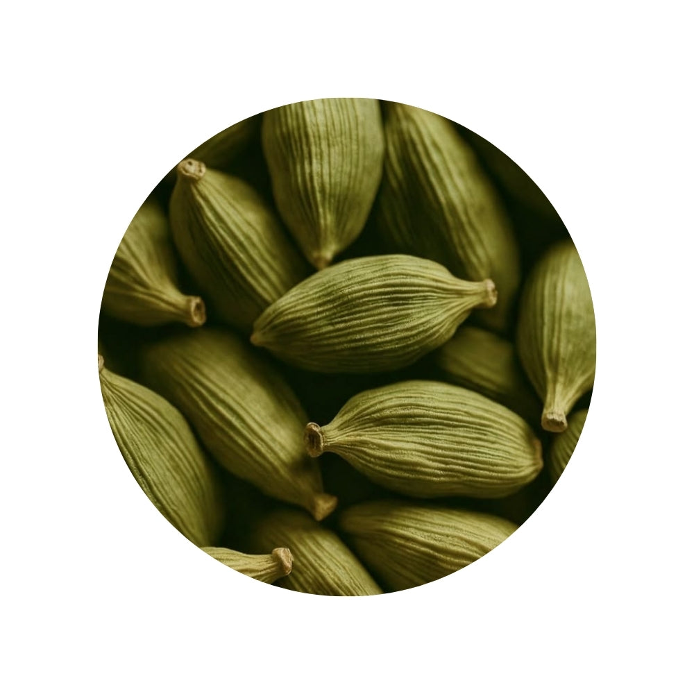 Cardamomo