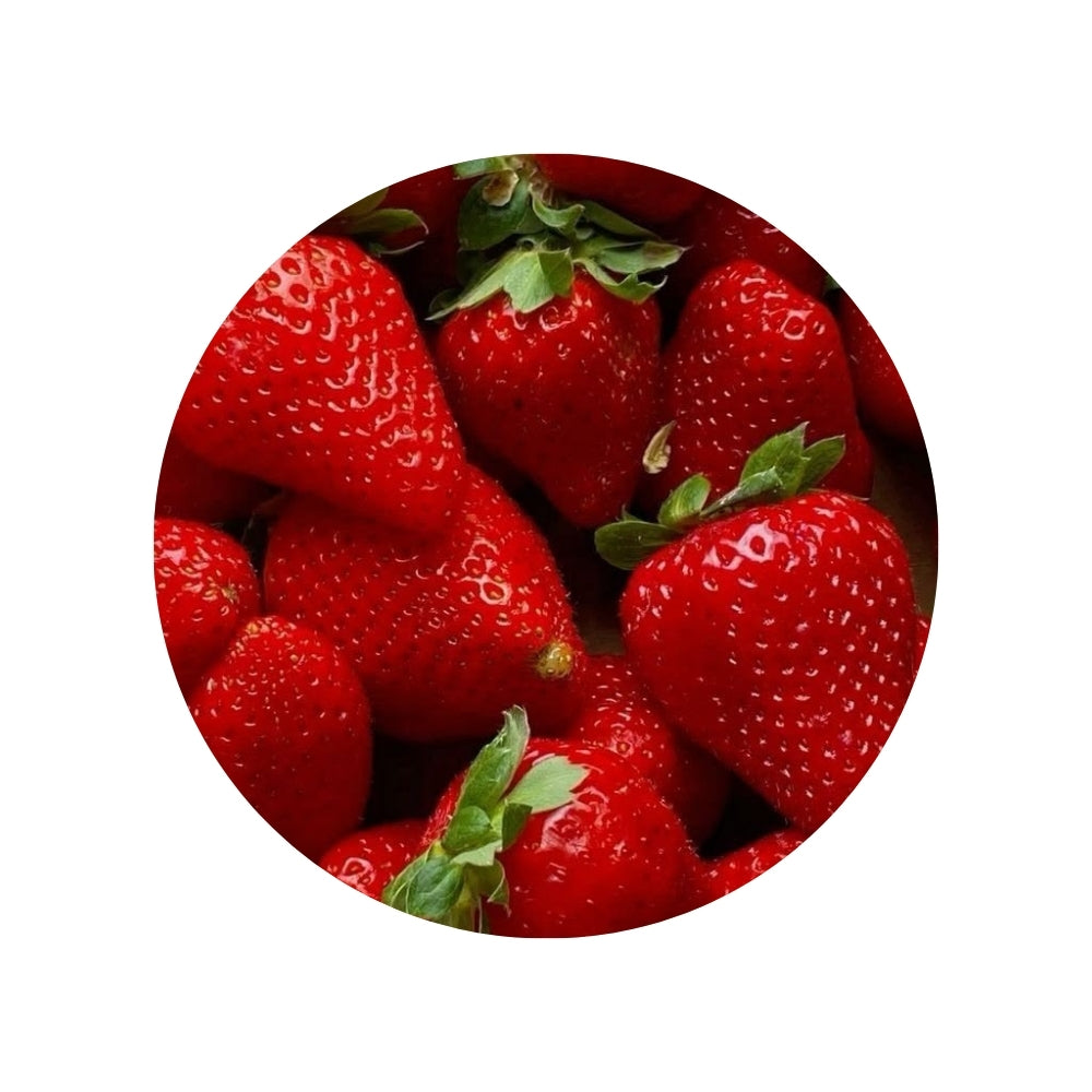 Morango